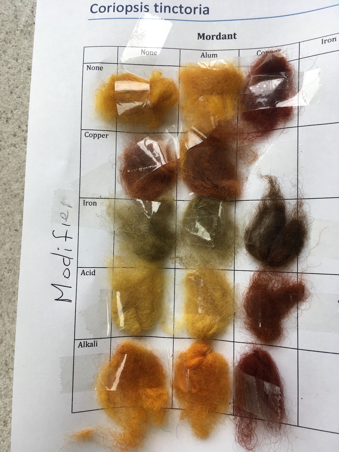 Samples dyed from dyers' tickweed
